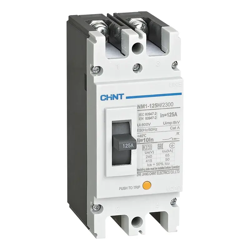 Chint NM1 MCCB Type H 2P 125A 125AF 50kA @ 400V