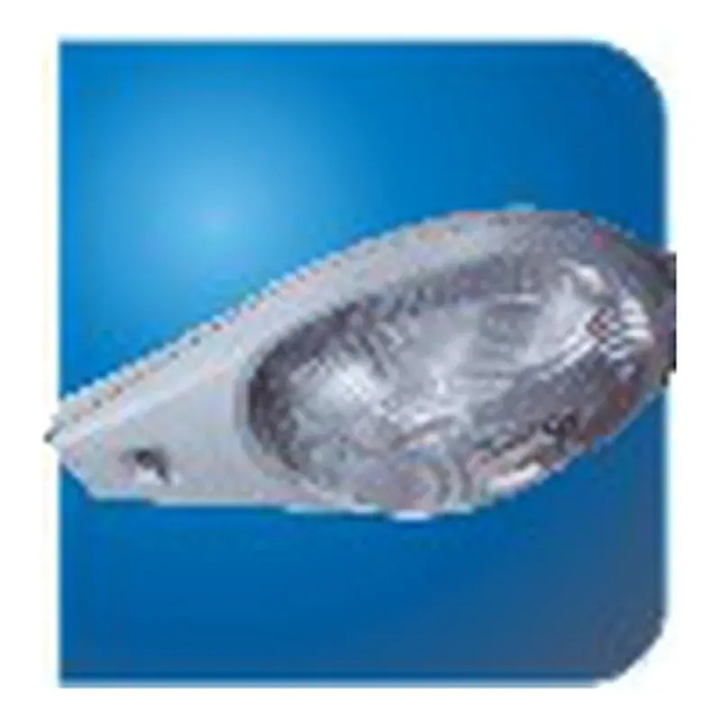 Eurolux Cobra Big Streetlight E27/E40 Housing Only