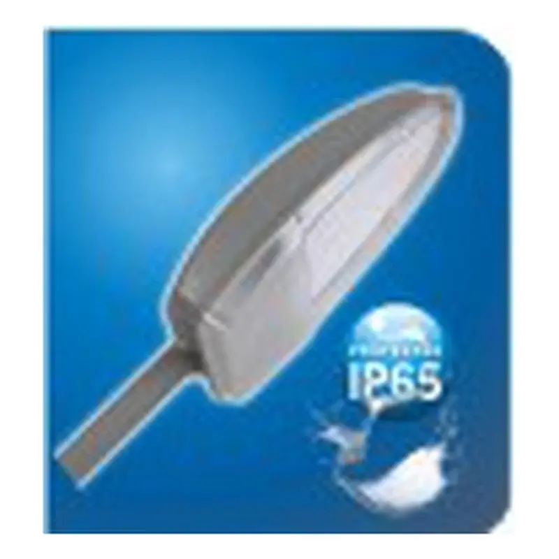 Eurolux Eagle LED SMD Streetlight Plastic IP65 30W Daylight