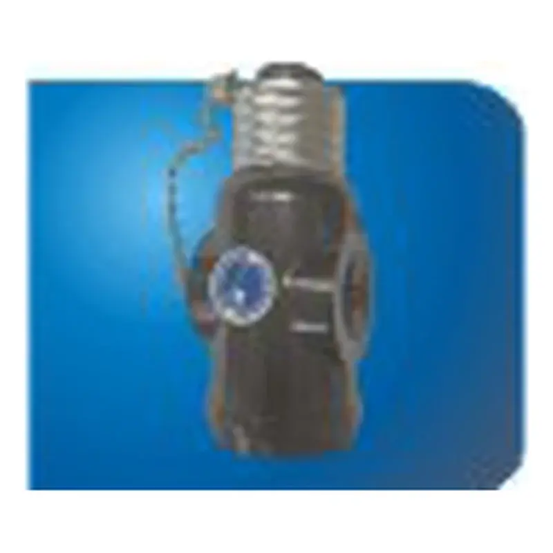 Eurolux Bakelite Pull Chain Switch