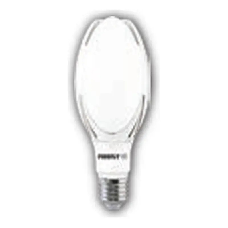 Firefly Basic LED Park Lamp 30W Daylight