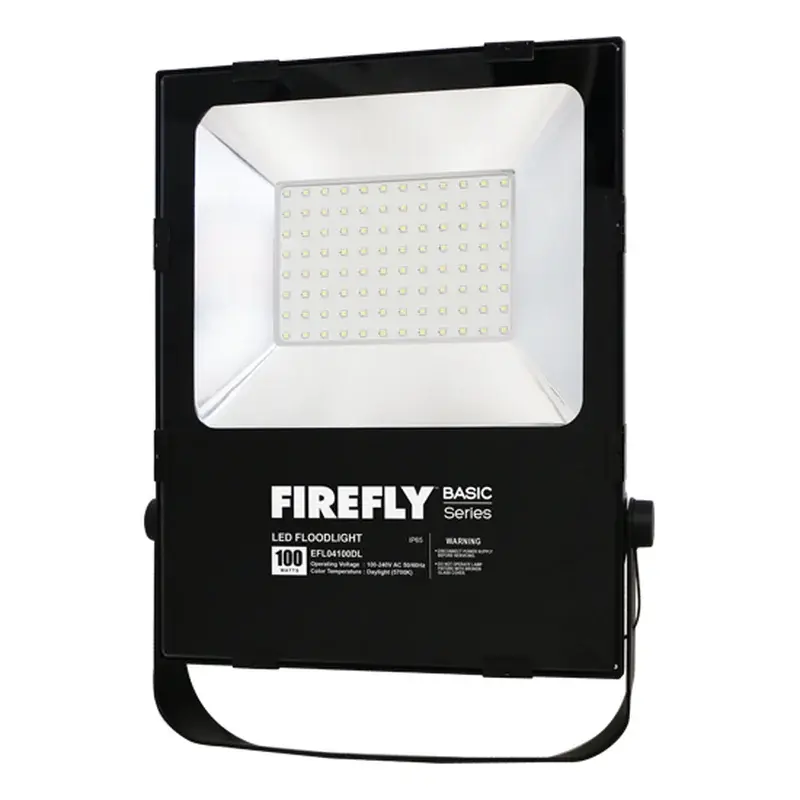 Firefly Basic Regular LED Floodlight 100W Daylight
