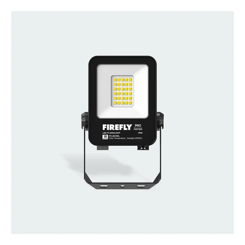 Firefly Pro LED Floodlight 50W Daylight