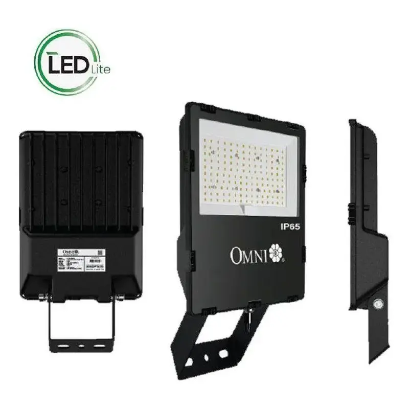 Omni LED Heavy Duty Weatherproof Flood Light 100W Tricolor