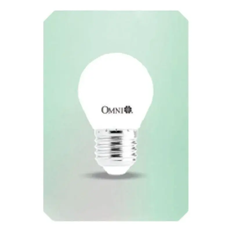 Omni LED Lite 12V DC A95 Bulb E27 20W Daylight