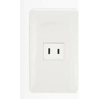 Omni Classic Flush Regular Outlet in Plate 16A