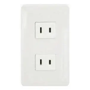 Omni Classic Flush 2pcs Regular Outlet in Plate 16A