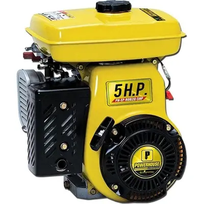 Powerhouse Eco Professional Series Gasoline Engine 5HP (100% Copper)