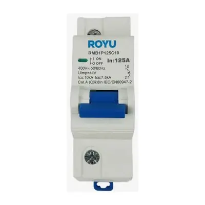 Royu MCB DIN Rail 1P 100A 10kA