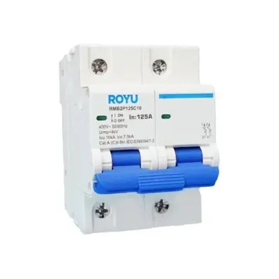 Royu MCB DIN Rail 2P 80A 10kA