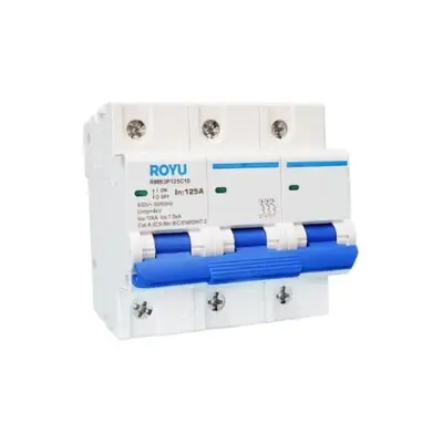 Royu MCB DIN Rail 3P 100A 10kA