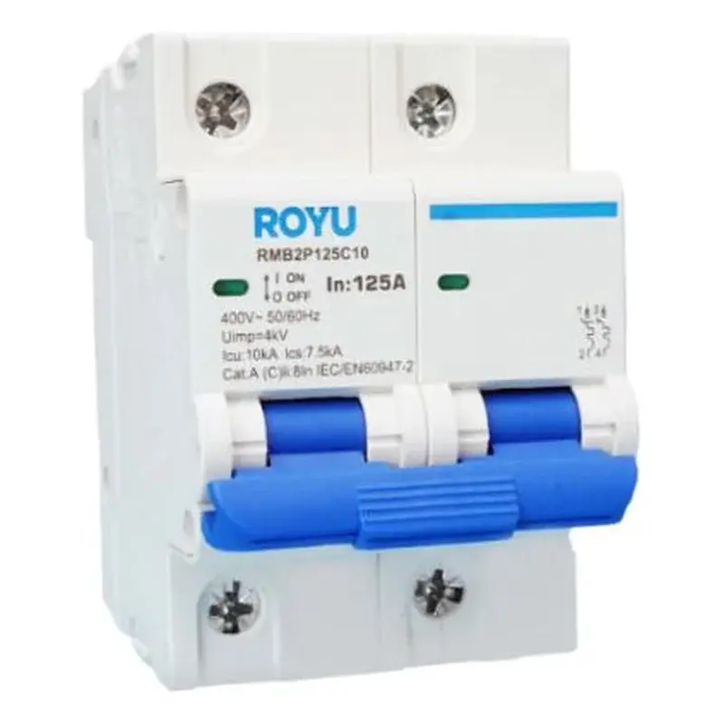 Royu MCB DIN Rail 2P 63A 10kA