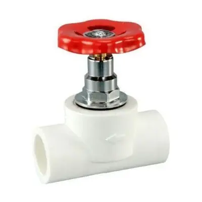Royu PP-R Gate Valve 20mm