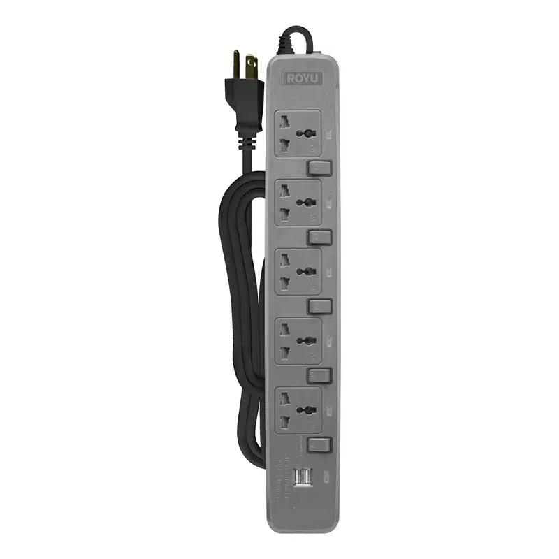 Royu Power Strip 4 Gang Individual Switches & 2 USB Ports 10A 2m Gray
