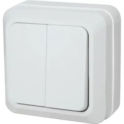 Royu Surface Switch 2 Gang 10A White