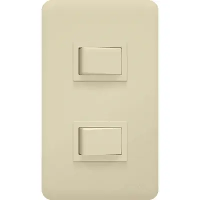 Royu Classic Series 2 Gang Switch Set 10A