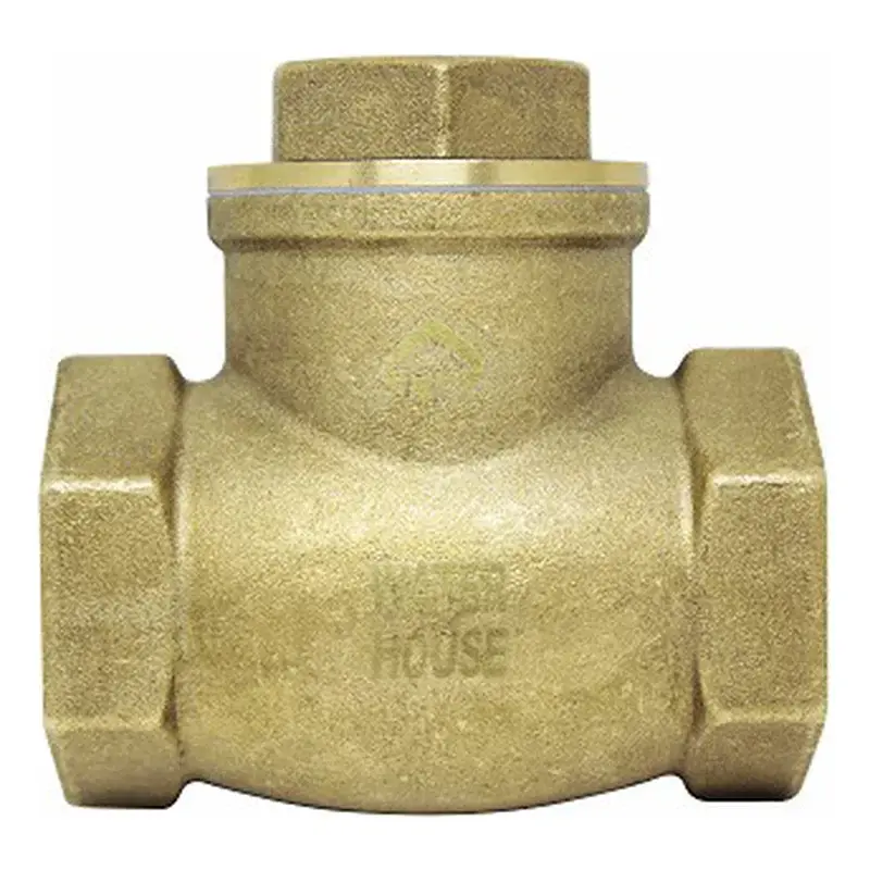 Waterhouse Brass Swing Check Valve 1-1/4" 900g
