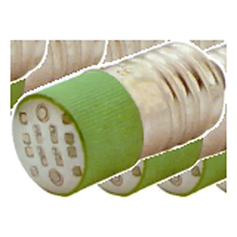 Wixim Indicator Bulb LED E-10/BA9S