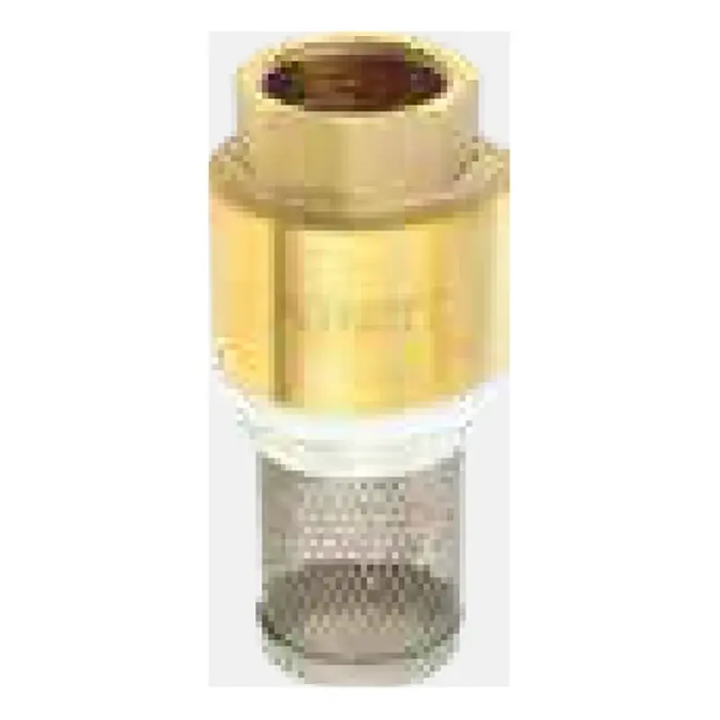 Xpert Foot Valve 1" Brass