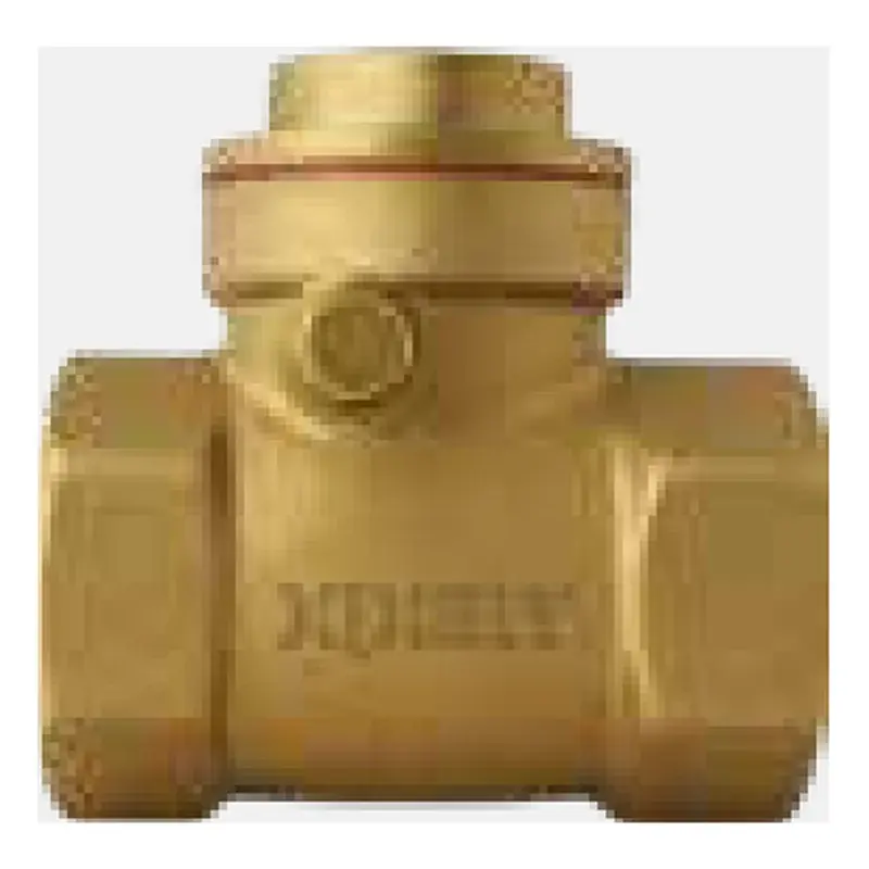 Xpert Swing Check Valve 1/2" Brass